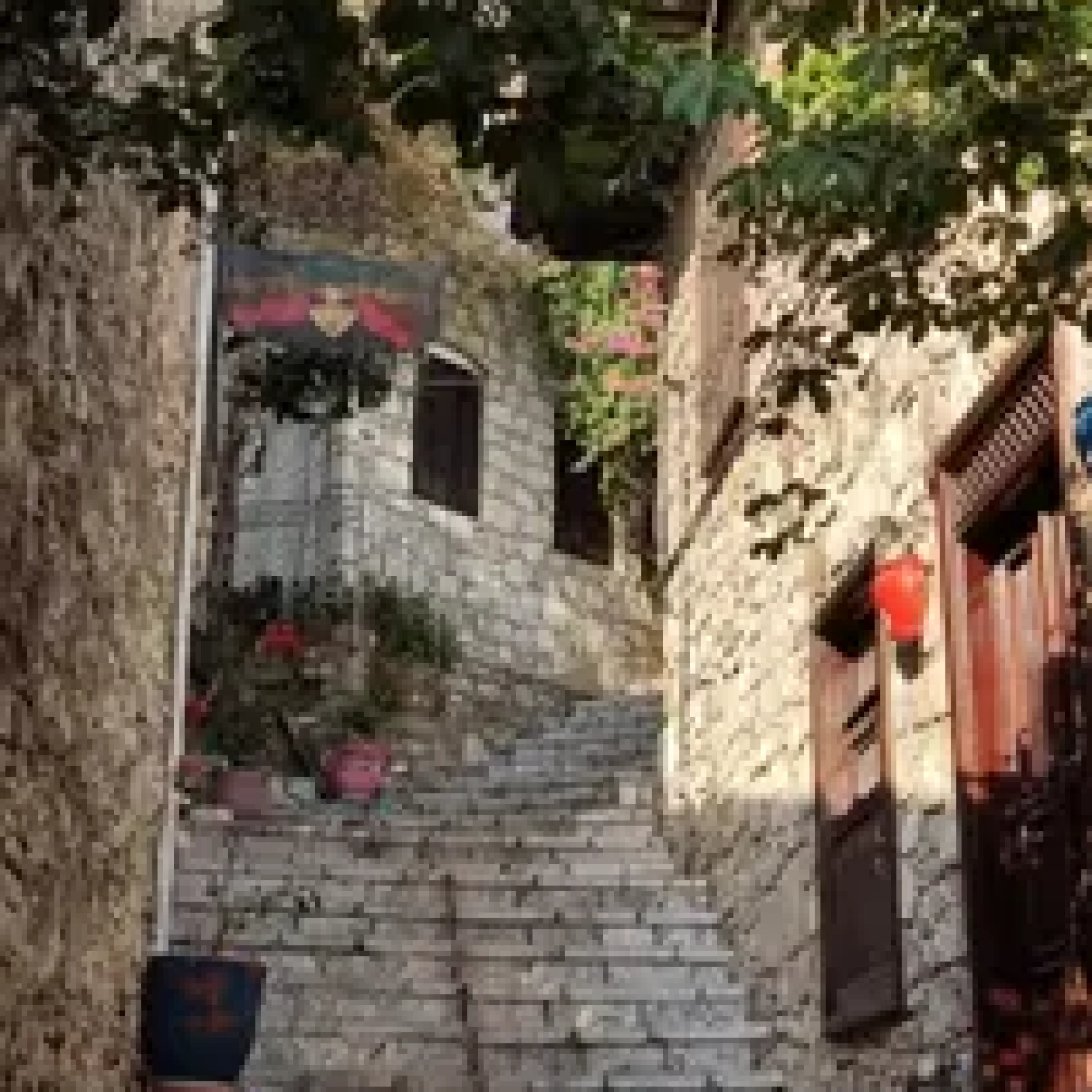 Transfer Bodrum (17)